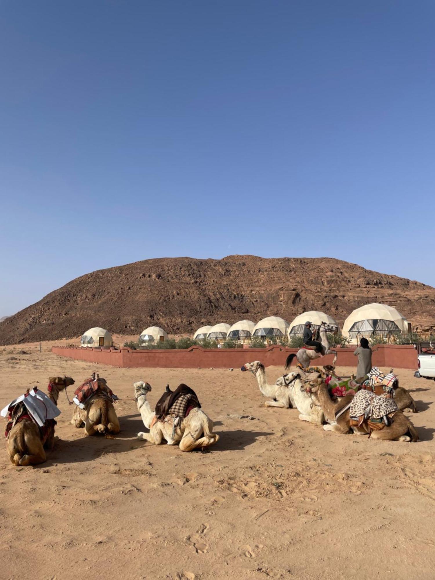 Bilal Luxury Camp Hotell Wadi Rum Exteriör bild