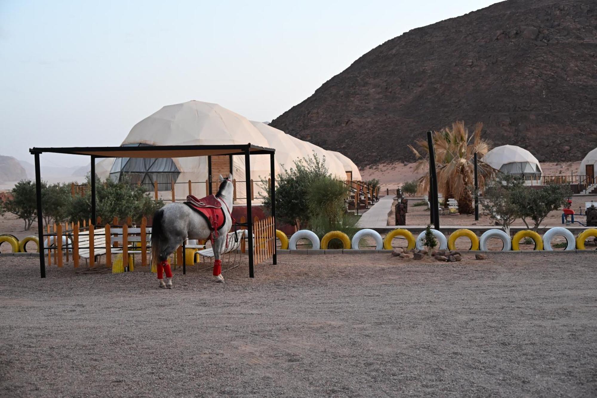 Bilal Luxury Camp Hotell Wadi Rum Exteriör bild
